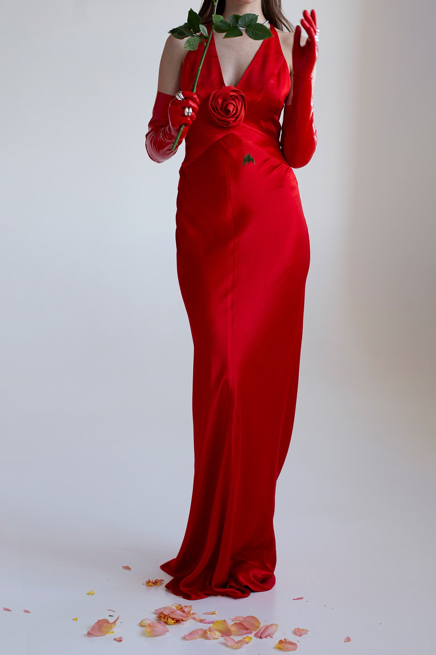 Ruby Rose Dress